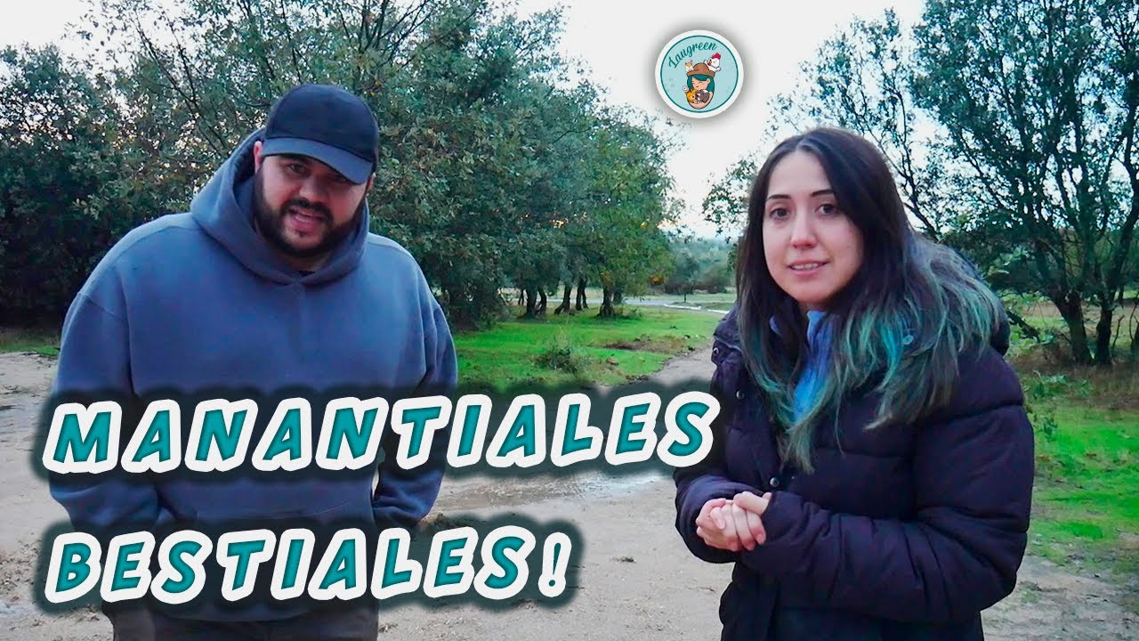 Salen MANANTIALES a lo BESTIA en la FINCA! 😱🌊