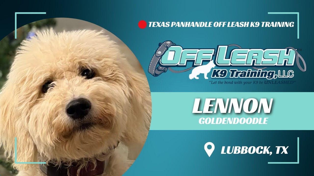 Advanced Puppy Training | See Lennon's Incredible Progress