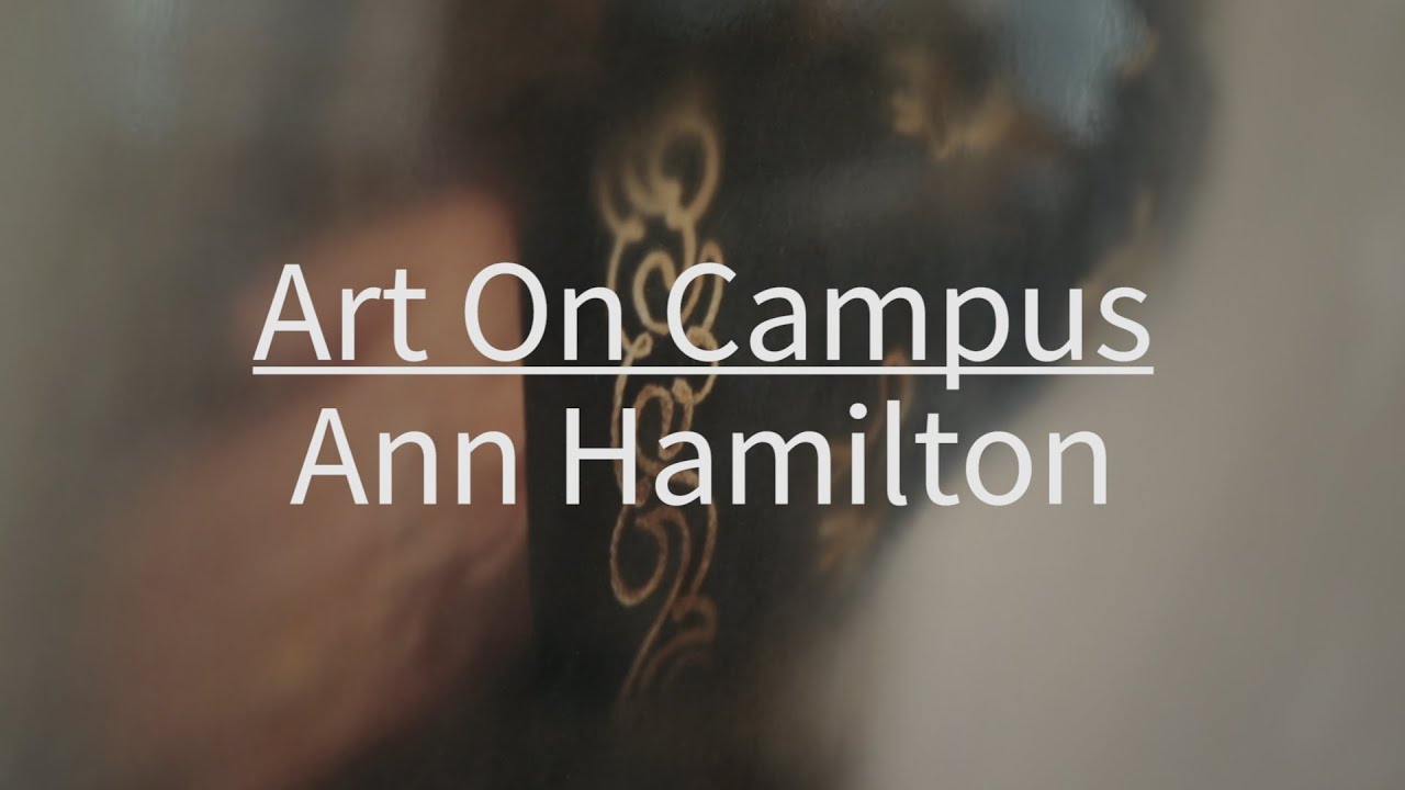 Art On Campus: Ann Hamilton