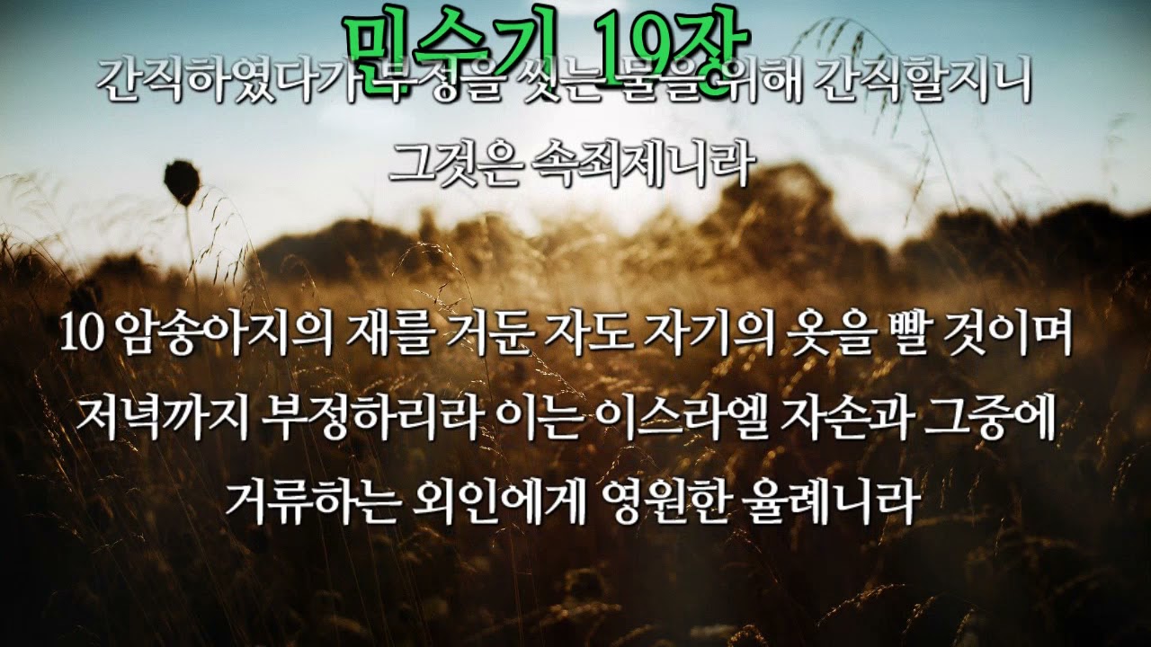 #민수기 19장
