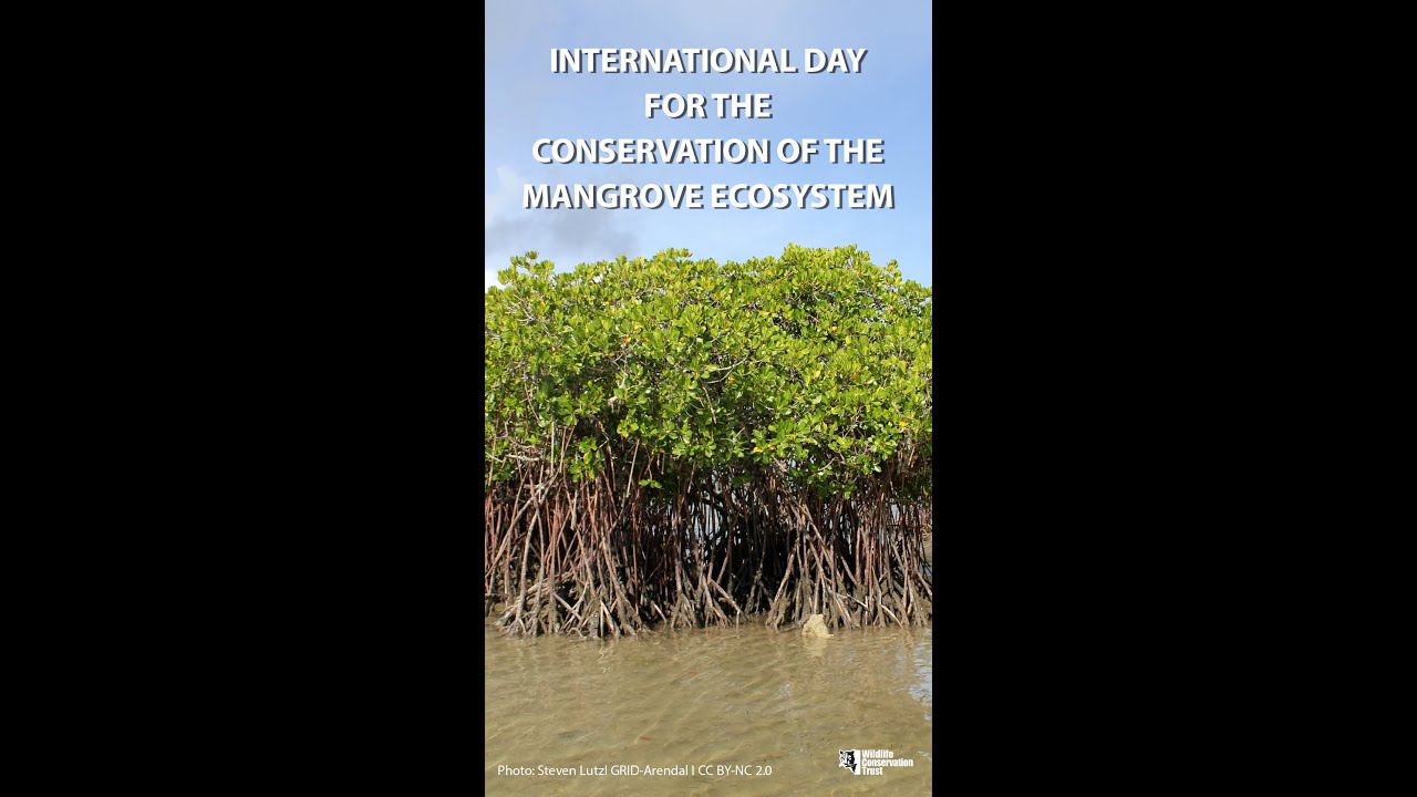 International Day for the Conservation of the Mangrove Ecosystem