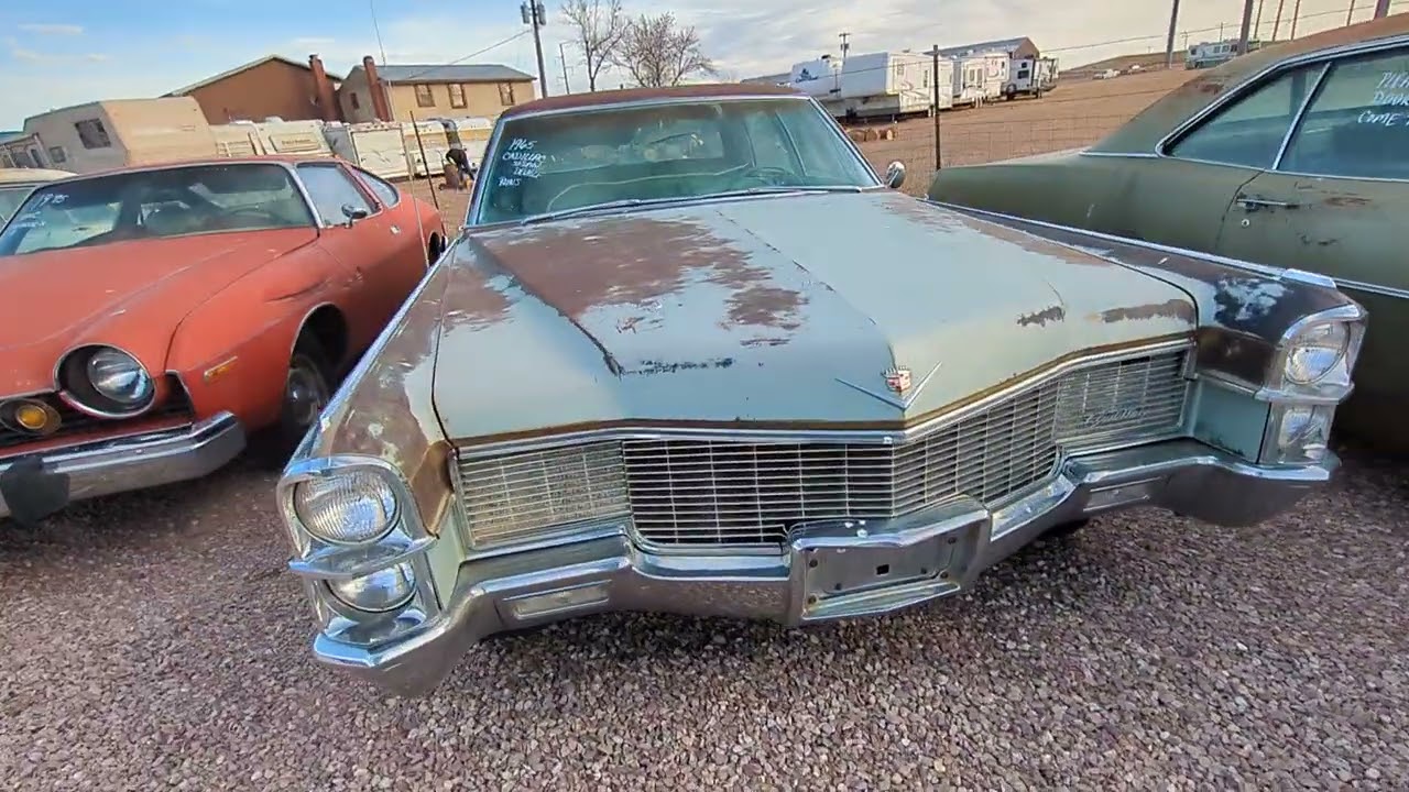 A Whole LOT of VINTAGE CARS FOR SALE in South Dakota! 😲