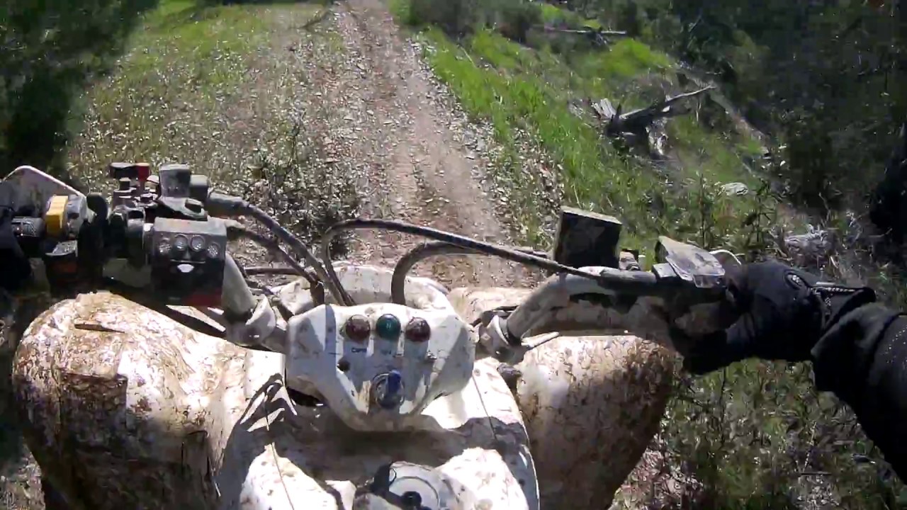 Ruta en quad !!  LTZ 400 !!