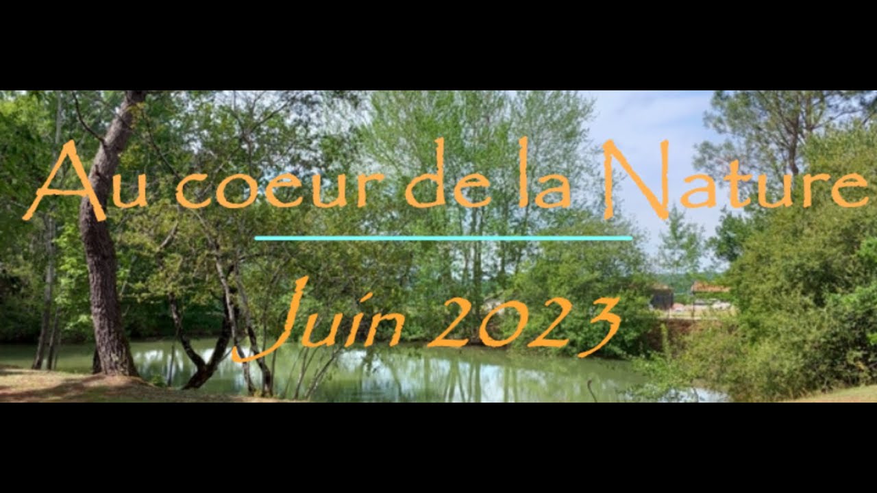 Cabanes perch&eacute;es dans les arbres - Monpazier 2023
