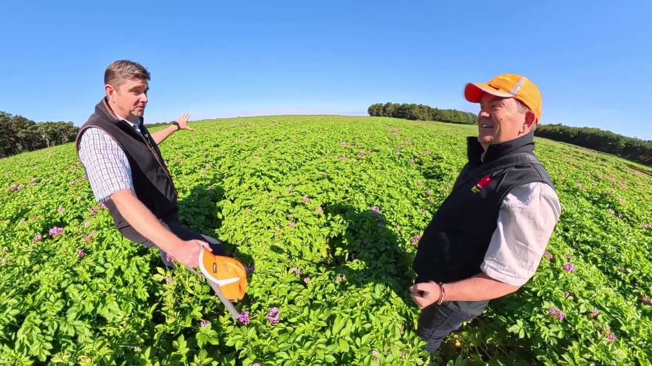 Beanstalk.Global & CUPGRA UK Potato Tour! First stop: The Brilliant Team at Greens of Soham!