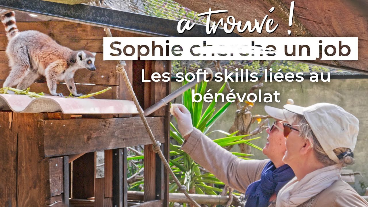 LES SOFT SKILLS LIÉES AU bénévolat 😻Sophie cherche un job