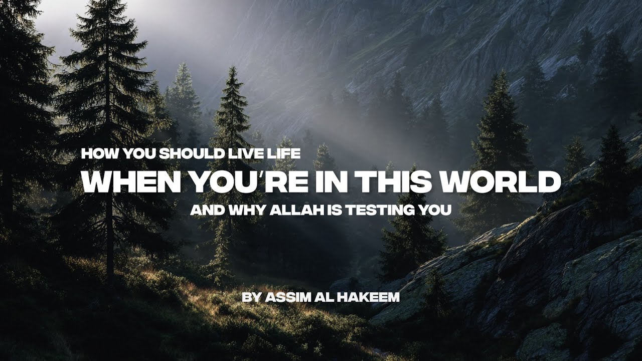 HOW YOU SHOULD LIVE YOUR LIFE WHEN YOU'RE IN THIS WORLD AND WHY ALLAH IS TESTING YOU