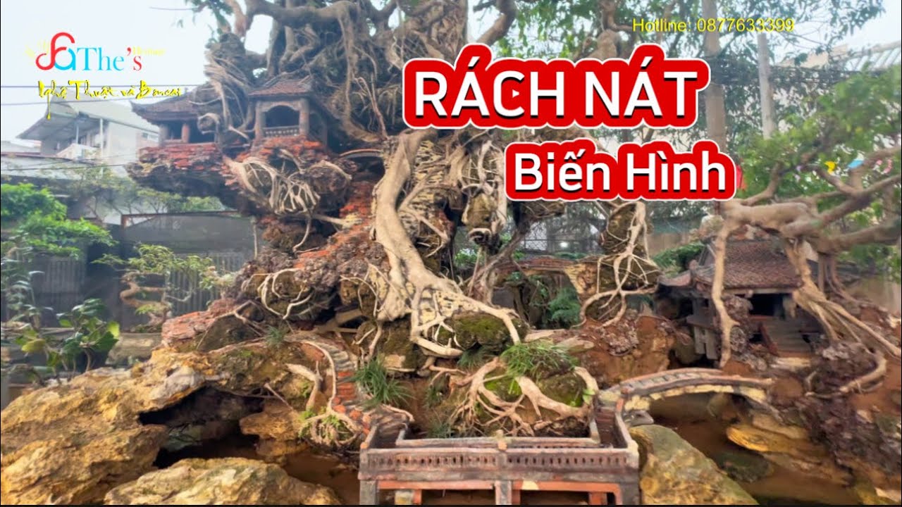 Biến hình cây VÔ HỒN XƠ XÁC NÁT BÉT thành một Tác phẩm tiểu cảnh Hùng Vỹ đến kinh ngạc