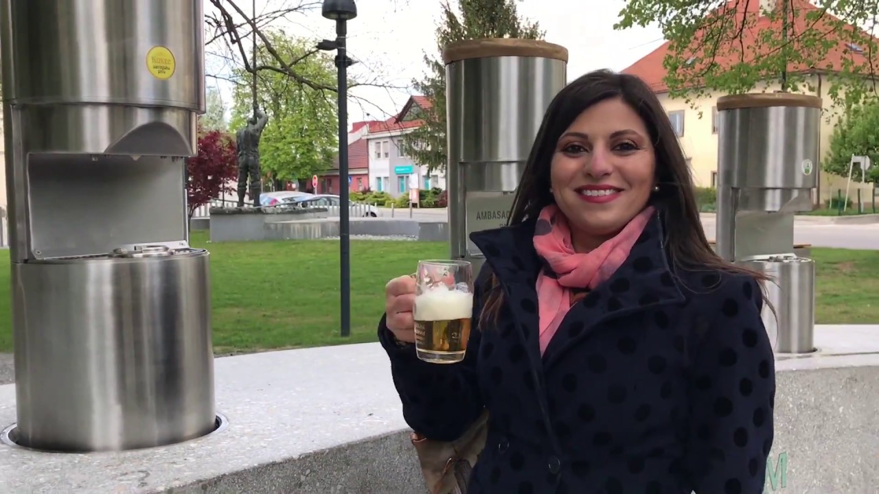 Fontana della birra di Zalec Slovenia