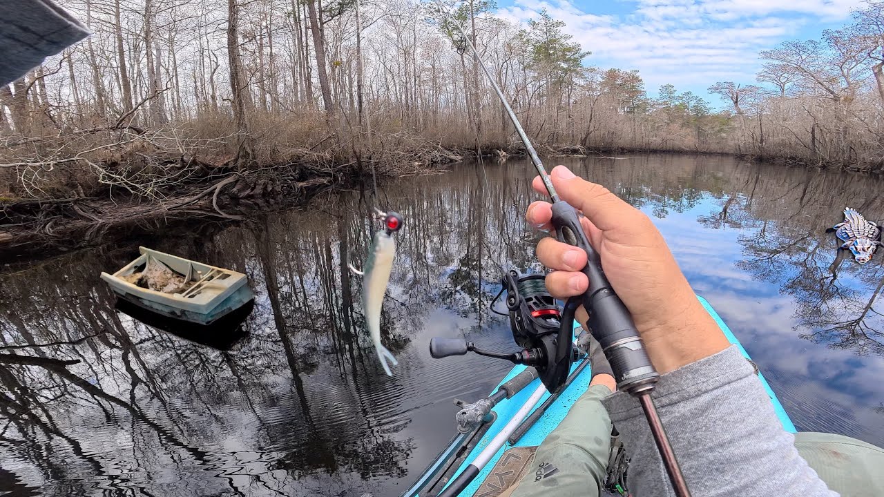 Ride The Tide — To Where The Fish Hide (Back To NC)