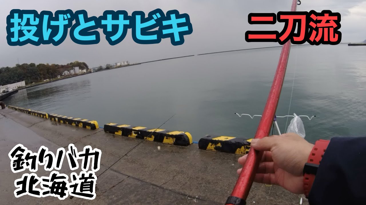 【海釣り】雨と寒さの中で二刀流釣り【サビキ釣り】