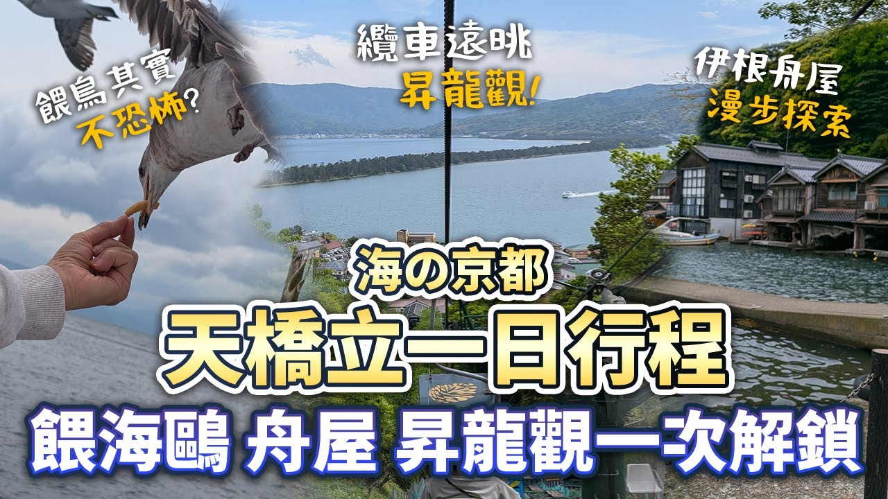 日本三景天橋立一日遊｜京都出發交通攻略＋伊根舟屋必看景點全解鎖｜海之京都Vlog｜餵海鷗驚喜體驗！