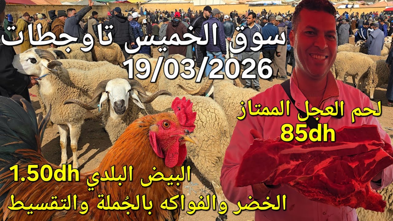 أثمنة الغنم والدجاج واللحوم والخضر سوق الخميس عين تاوجطات اليوم 19/03/2026