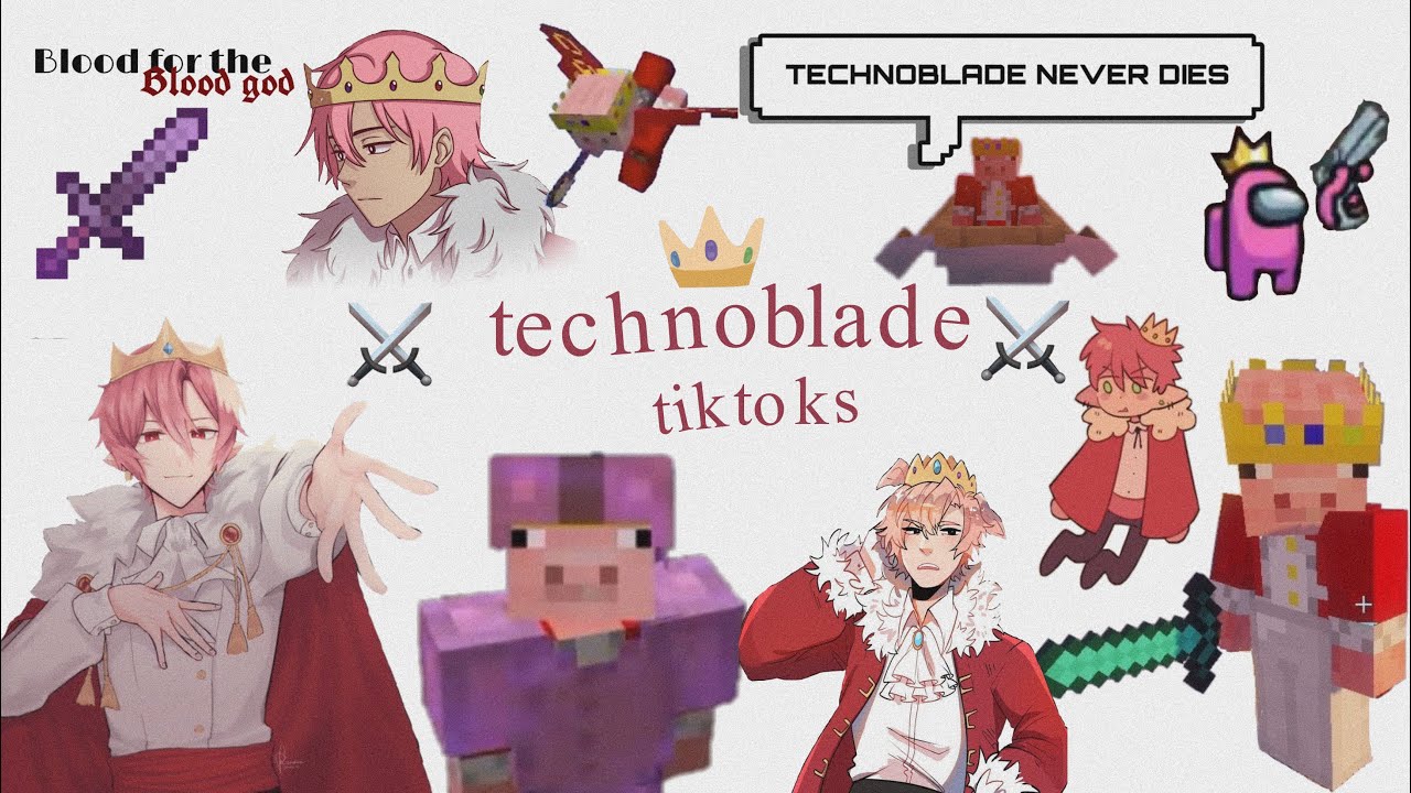 9 minutes of technoblade tiktoks