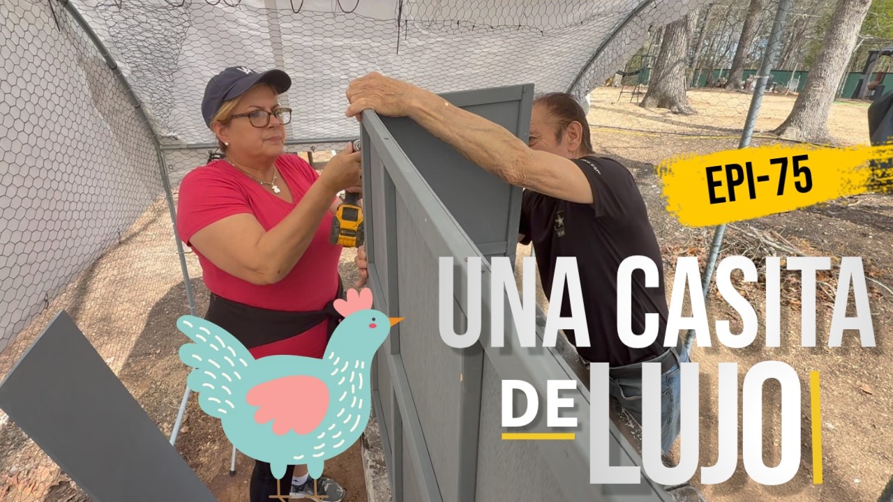 ENSAMBLANDO LA CASITA PARA LAS GALLINAS (EPI 75)