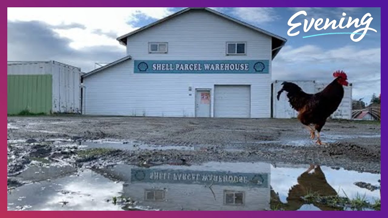 Point Roberts is a Washington state ghost town in the making