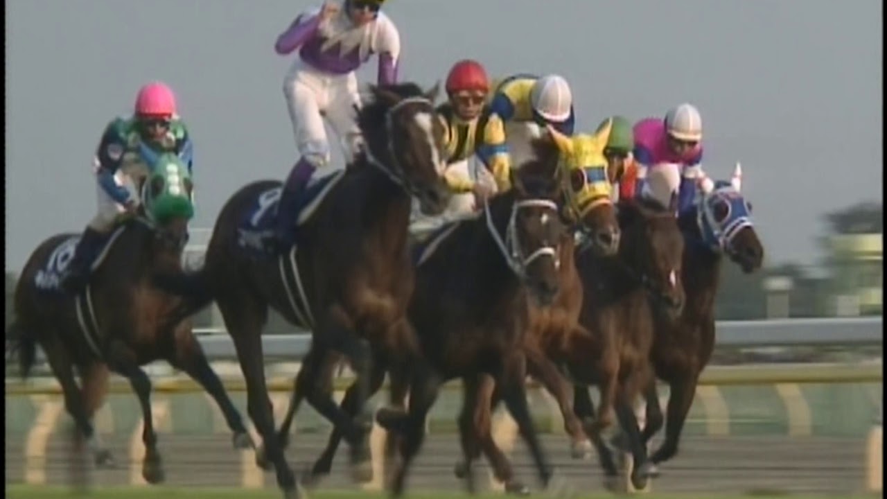 20世紀の名馬　34位　ステイゴールド