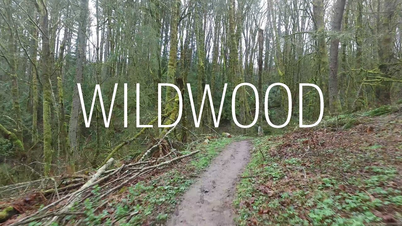 Running Wildwood Trail End to End in Forest Park Portland Oregon 30 miles - North to South - 2017