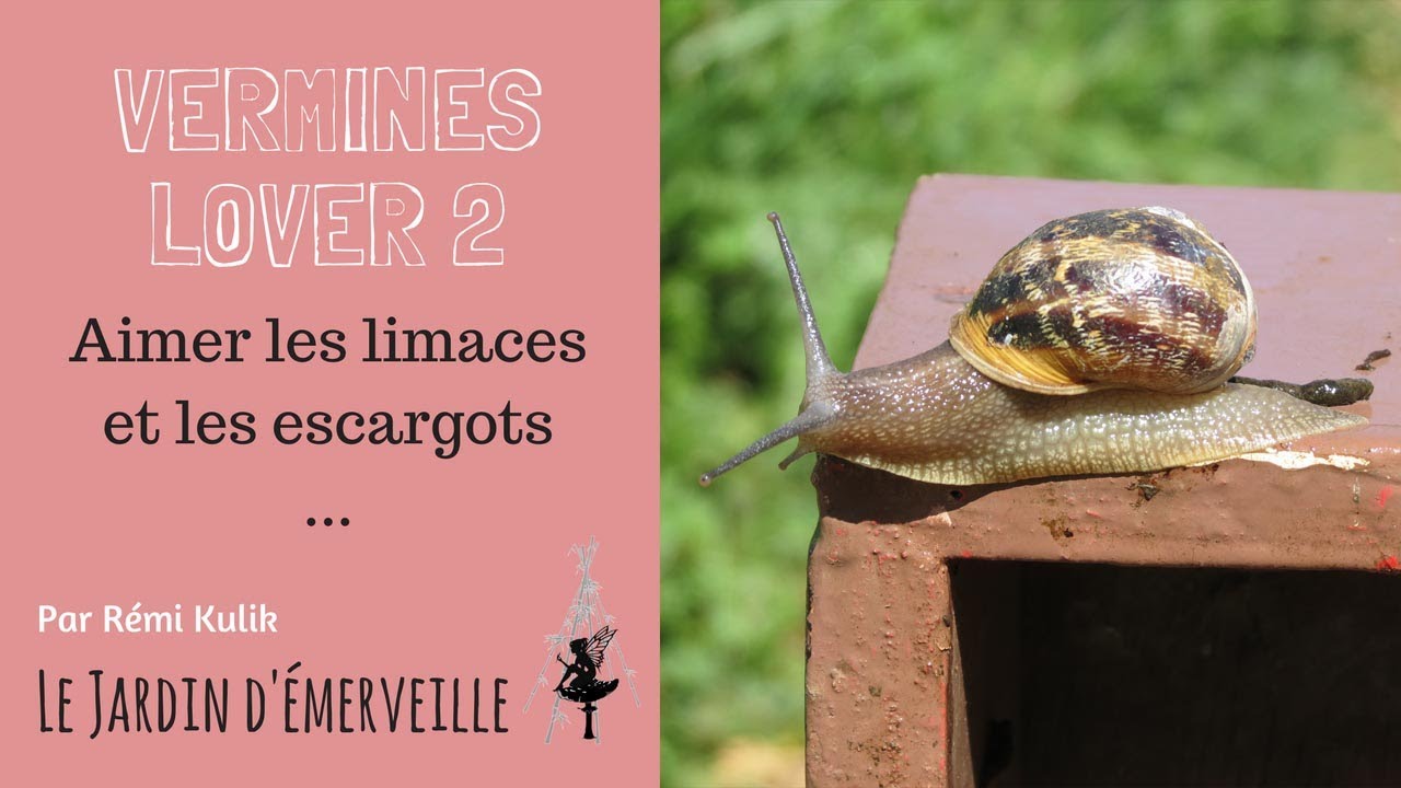 Vermines lover 2 : aimer les limaces et le escargots
