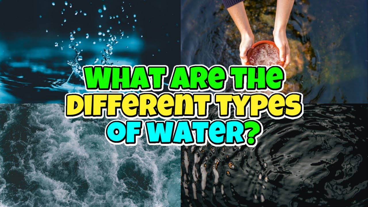 Water Types Explained: What Are the Different Types of Water?