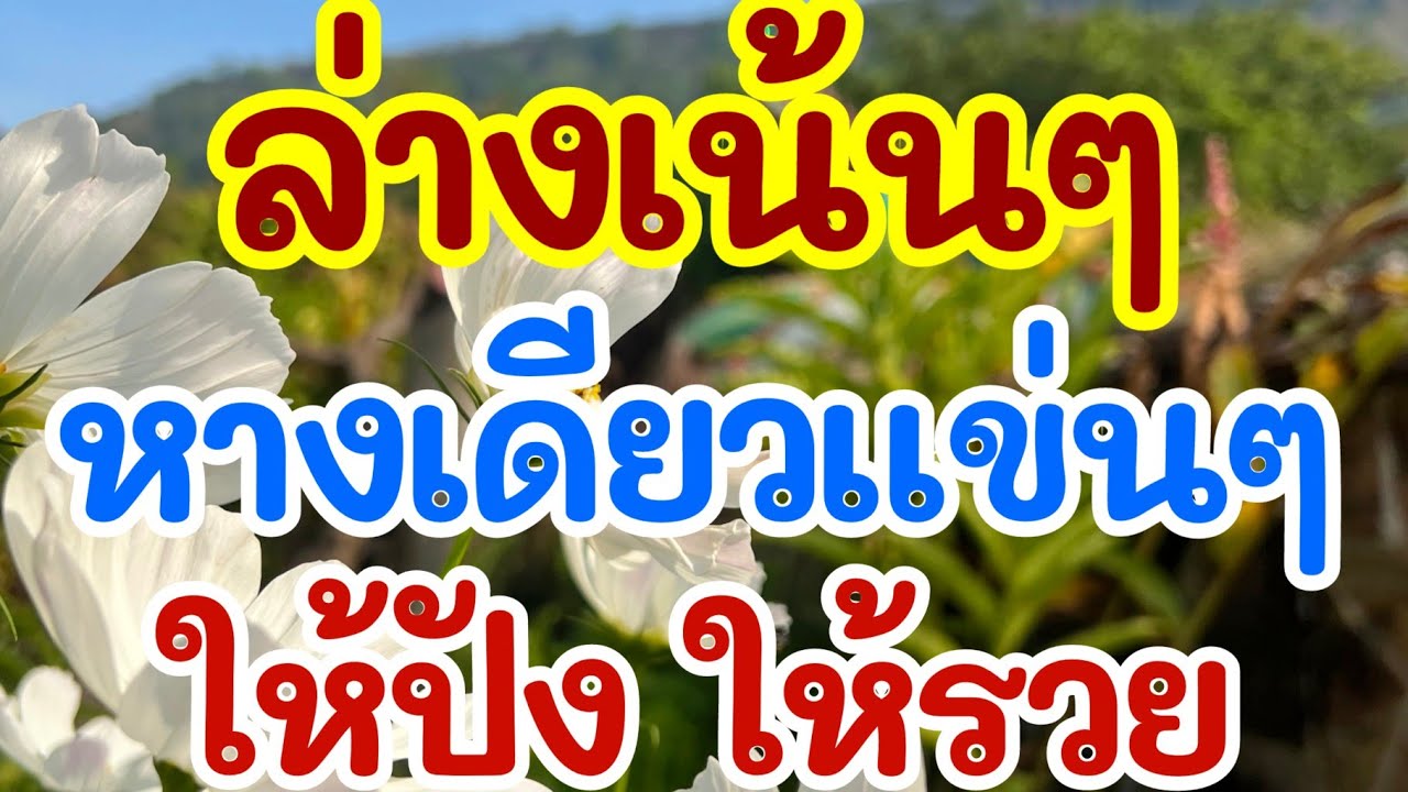 ล่างเน้นๆ หางเดียวแข่นๆ ให้ปัง ให้รวย 1 เม.ย. 69 [EP.3]