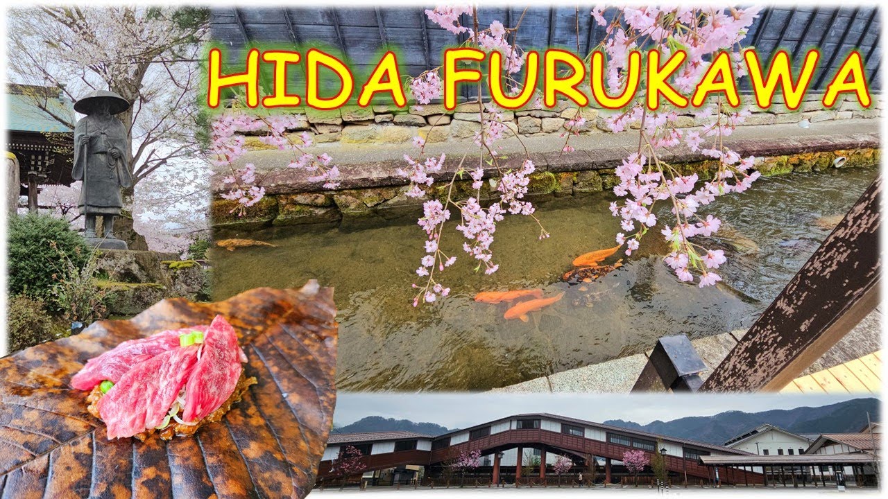 🌸Underrated Small Town of Gifu Prefecture - Hida Furukawa 飛騨古川🌸 | Grilling Hida Beef On Hoba Leaf
