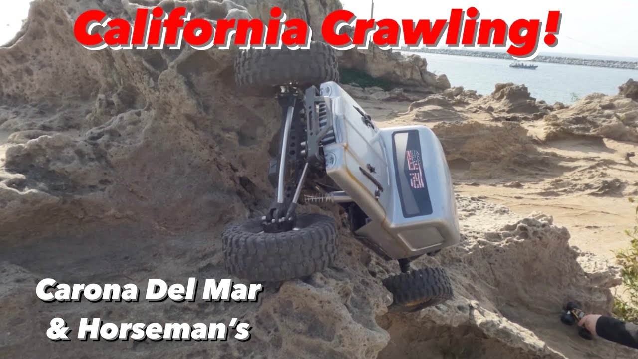California Hardlines! Crawling with @reefsrc !