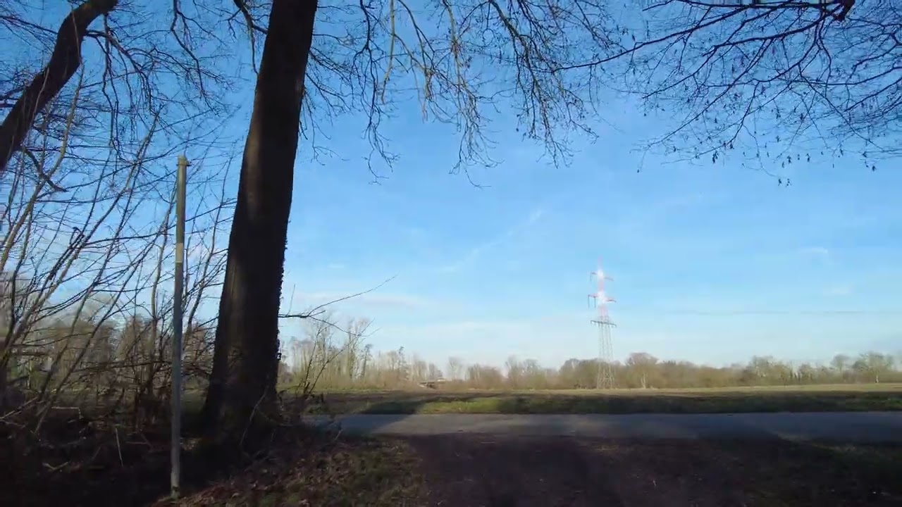 2024 01 29 der wilde Dämmelwald