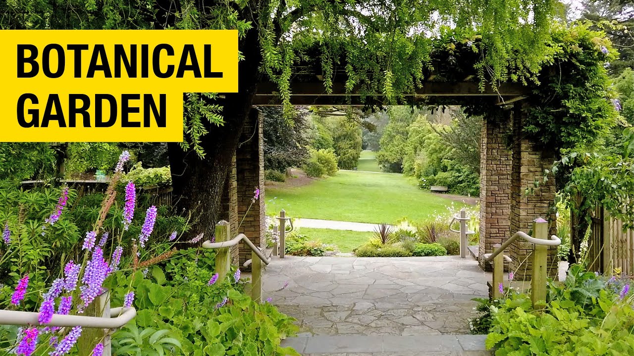 San Francisco Botanical Garden: The Hidden Oasis of the City