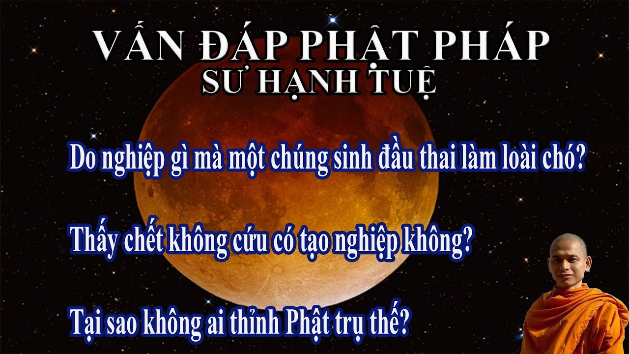 Vấn đáp Phật pháp ngày 30/11/2021 | sư Hạnh Tuệ