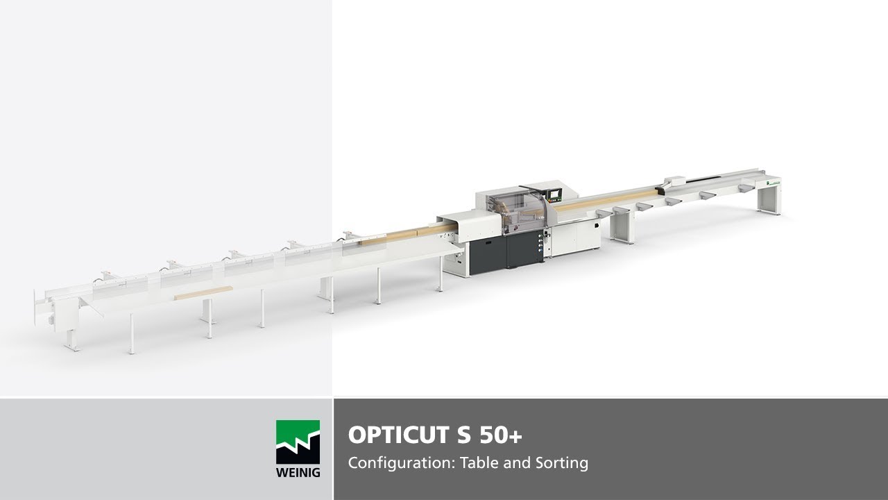 Pushfeed saw OptiCut S 50+ | Configuration: Infeed table with sorting - WEINIG
