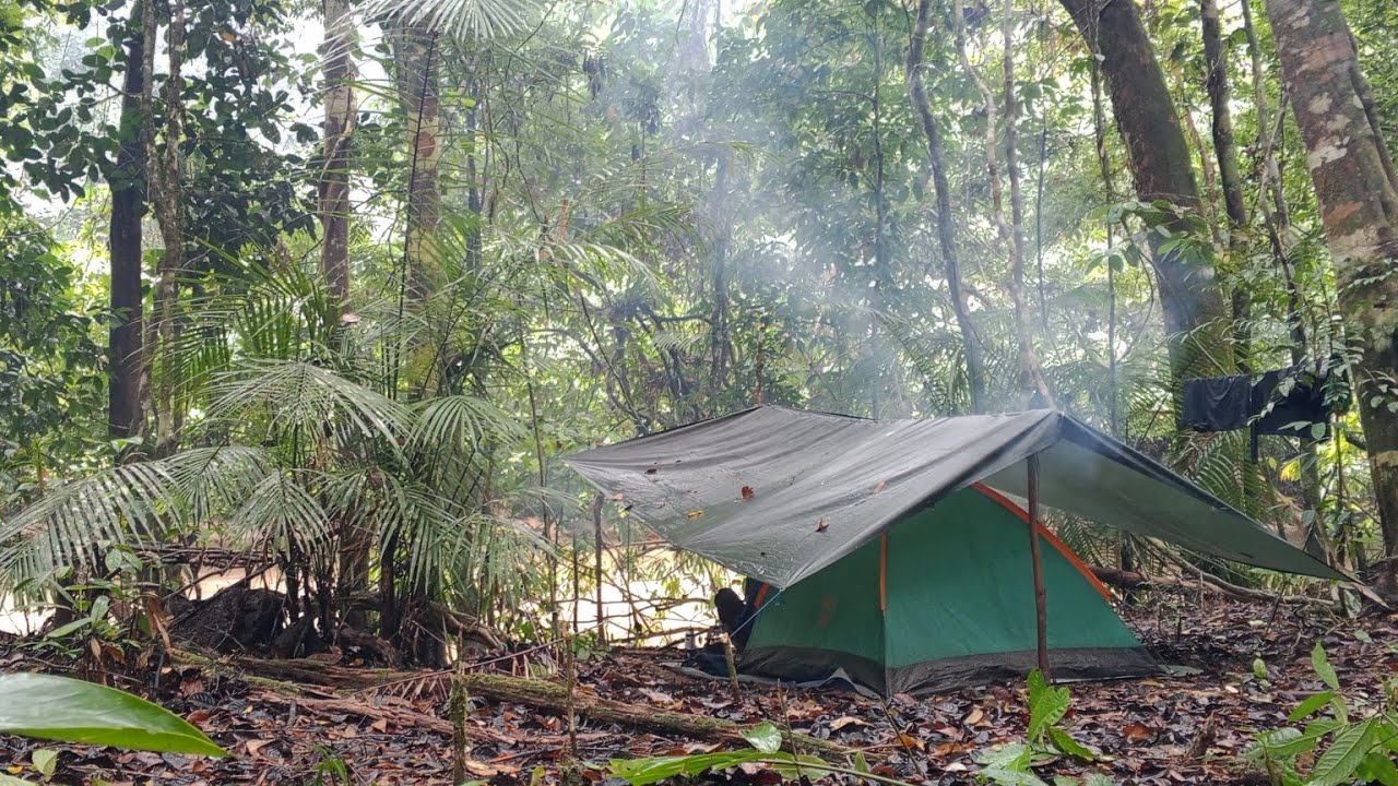 Camping di hutan berburu ikan di guyur hujan deras mancing baung saat air meluap panen ikan melimpah