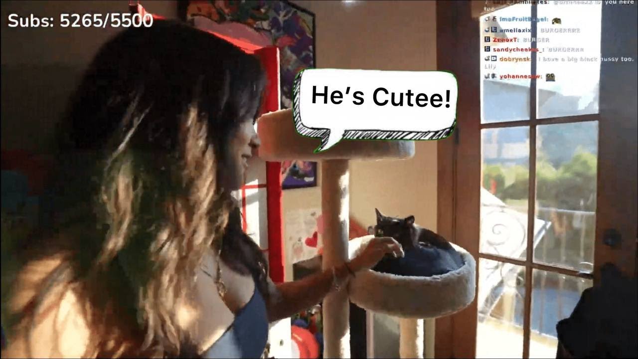 Cinna Meets StableRonaldo Cat Burger