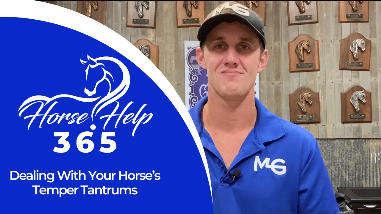 Dealing With Your Horse’s Temper Tantrums | Horse Help - Michael Gascon