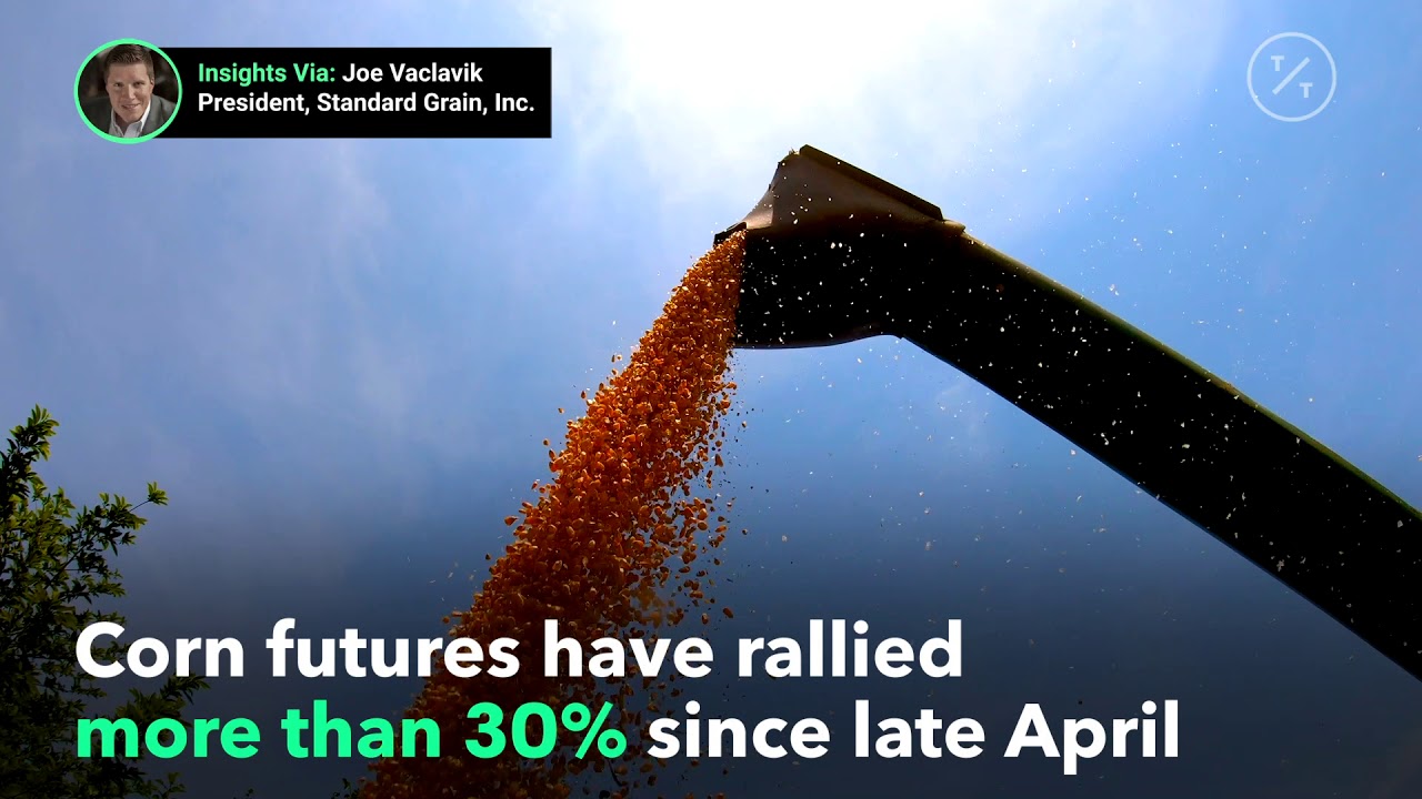 U.S. Ethanol Producers Suffering Negative Margins as Corn Price Rally Gathers Pace