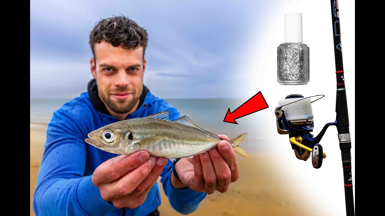 VISblad TV – makreelvissen met glitters & glimmers