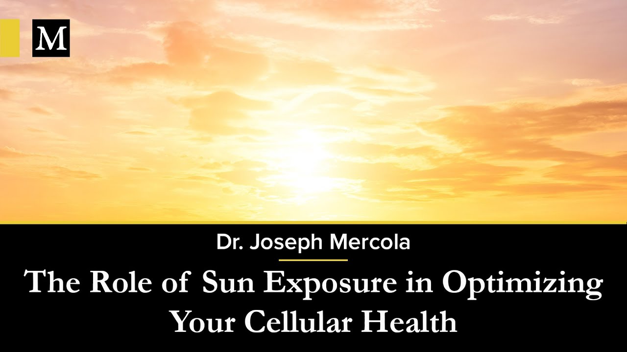 The Role of Sun Exposure in Optimizing Your Cellular Health