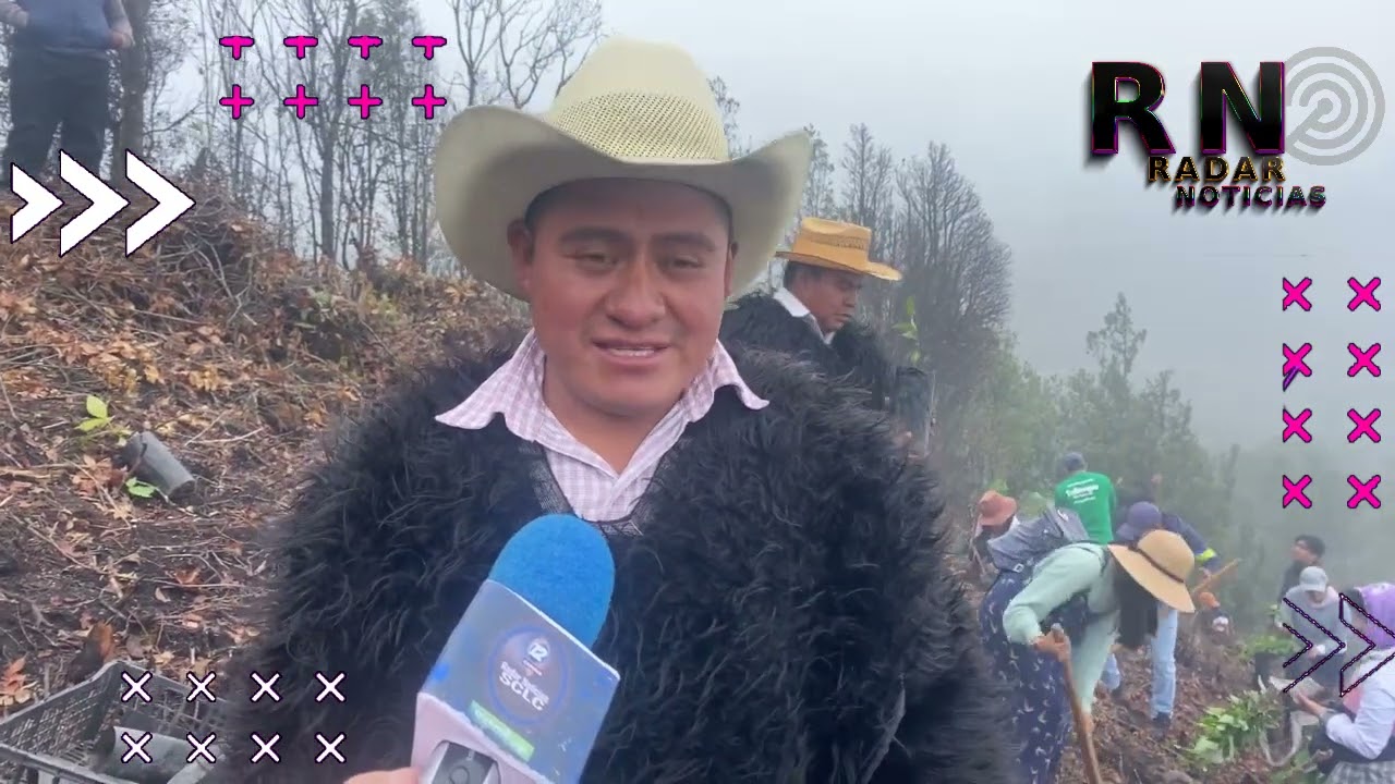 Inician reforestaciones en la zona de los altos