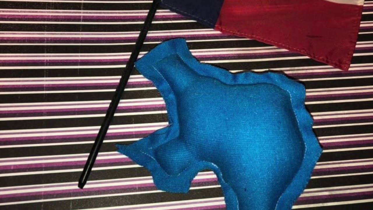 50 Nifty United States plushies and flags