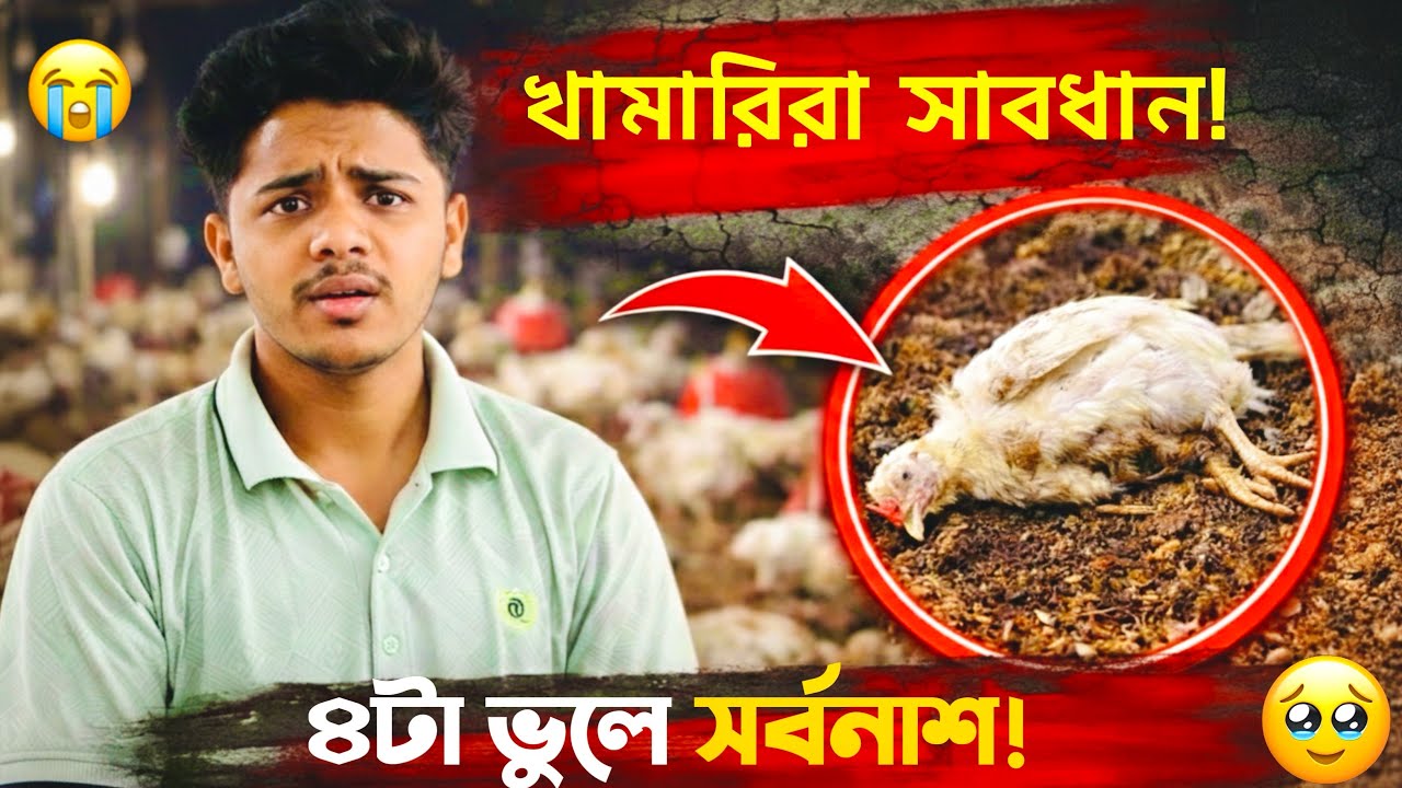 ব্রয়লার মুরগি পালন পদ্ধতি ও ৪টি মারাত্মক ভুল! ❌ Broiler Farming Tips 2026 #মুরগি_পালন #বয়লারমুরগি