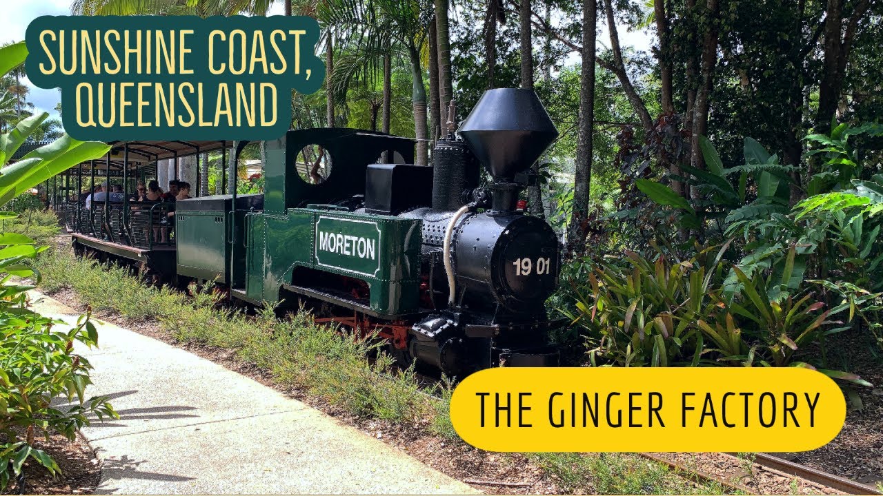 The GINGER FACTORY | Top Things to Do in Sunshine Coast, Queenland