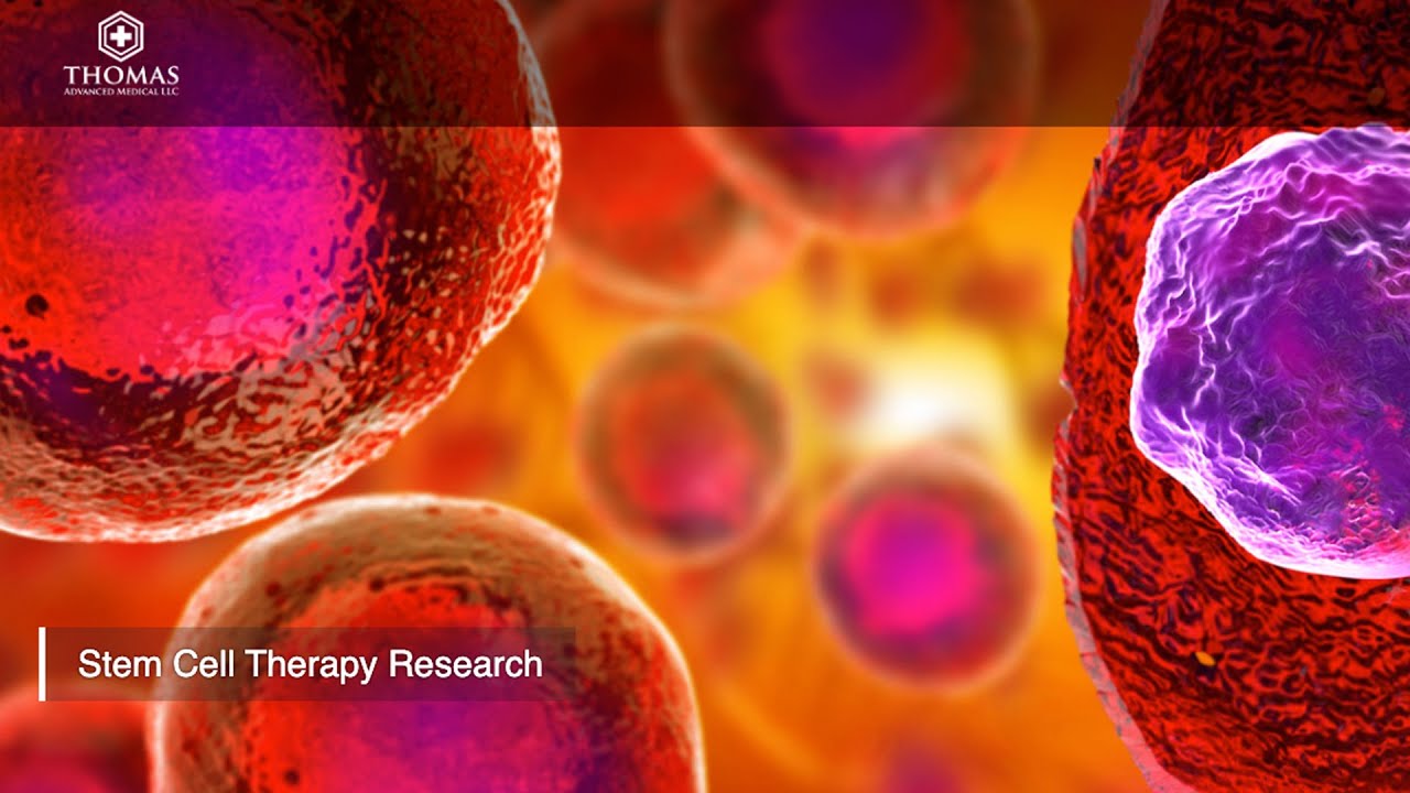 Using Stem Cells for the Regeneration of Damaged Organs and Tissue