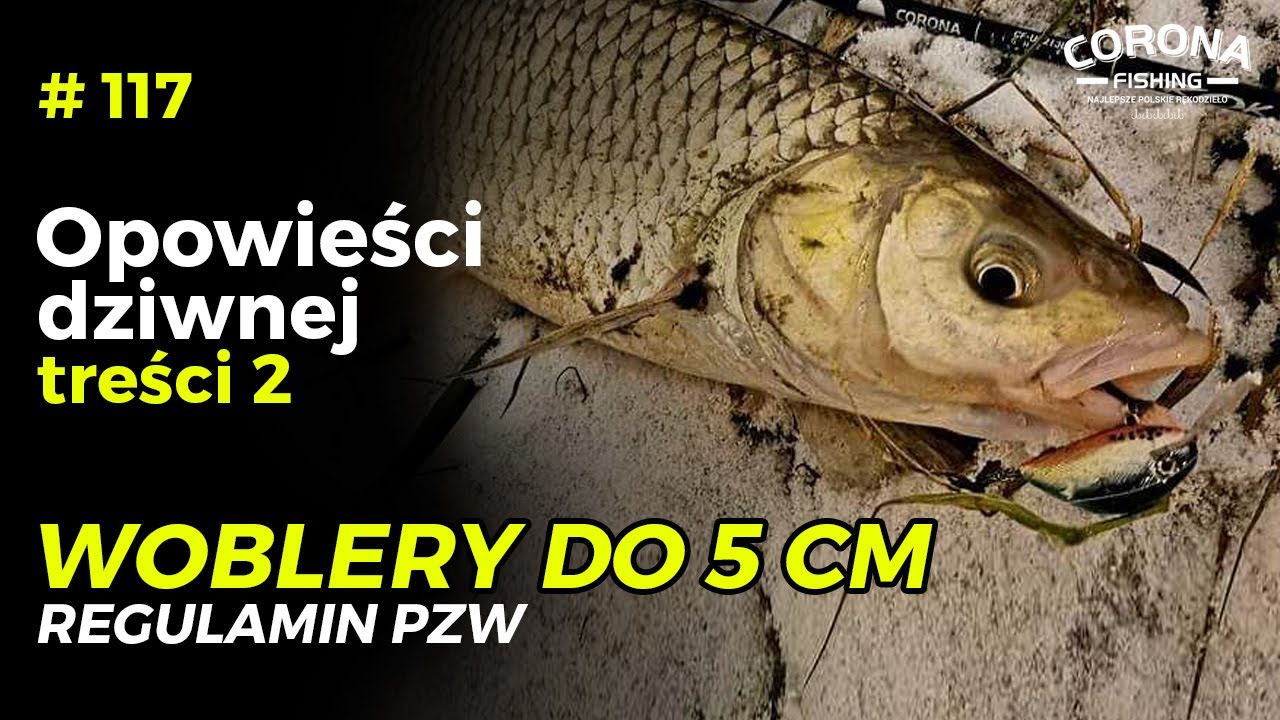 #117 Historie wędkarskie - ODT - Woblery do 5cm - regulamin PZW