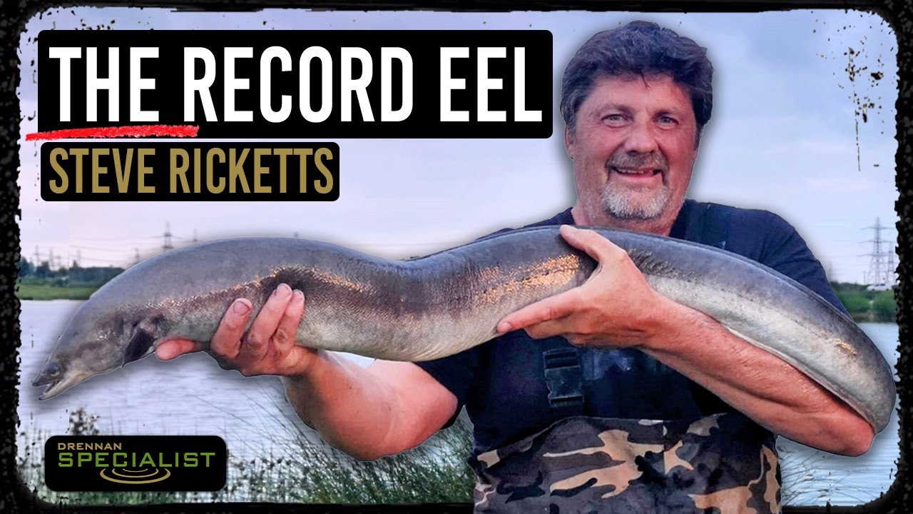 The Record Eel | Steve Ricketts | Drennan Specialist Eel Fishing