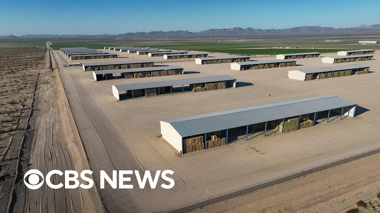 Arizona governor moves to end farming deal with Saudi company