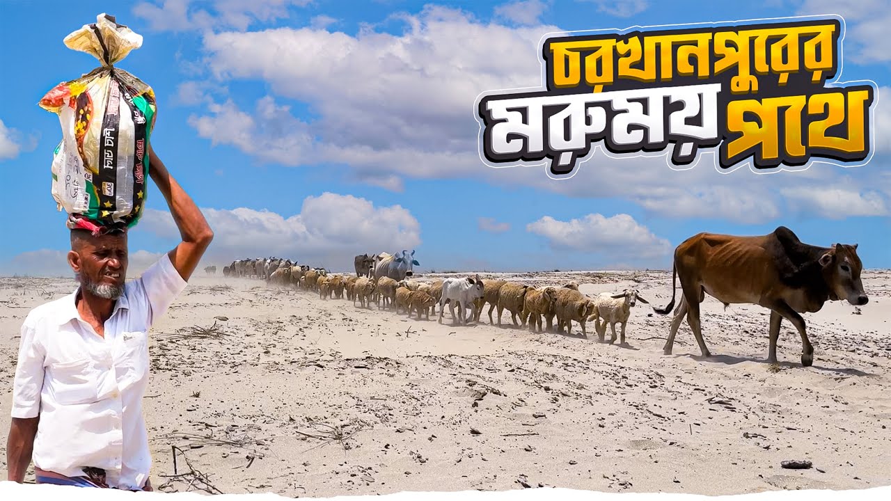 চরখানপুরের মরুময় পথের অপরূপ সৌন্দর্য || Char Khanpur Part 01 || Rajshahi