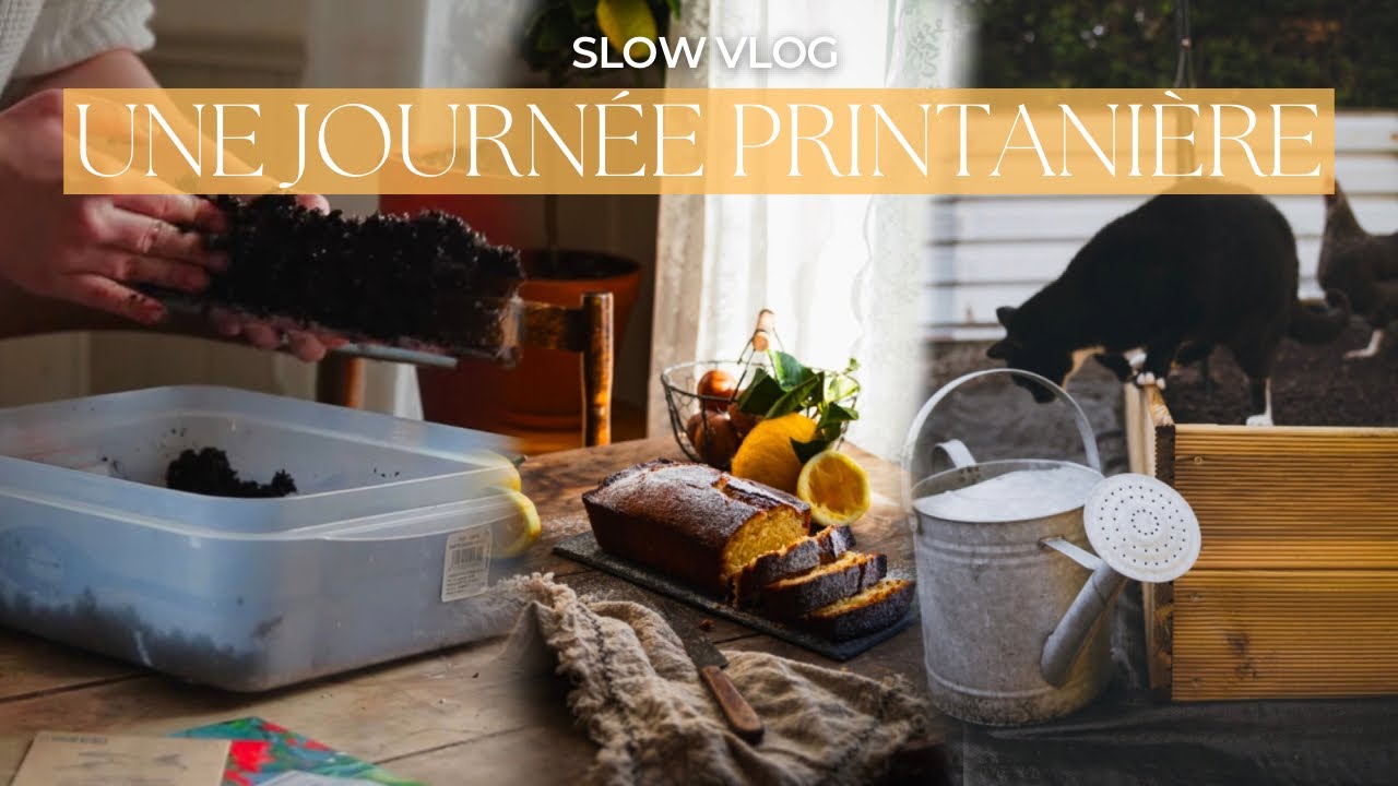 Slow VLOG | Comme un air de printemps : Cake au citron et jardinage