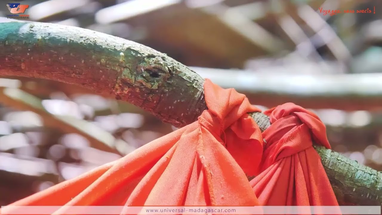 Découvrez Nosy Be  - Madagascar avec Universal Trading Tourisme