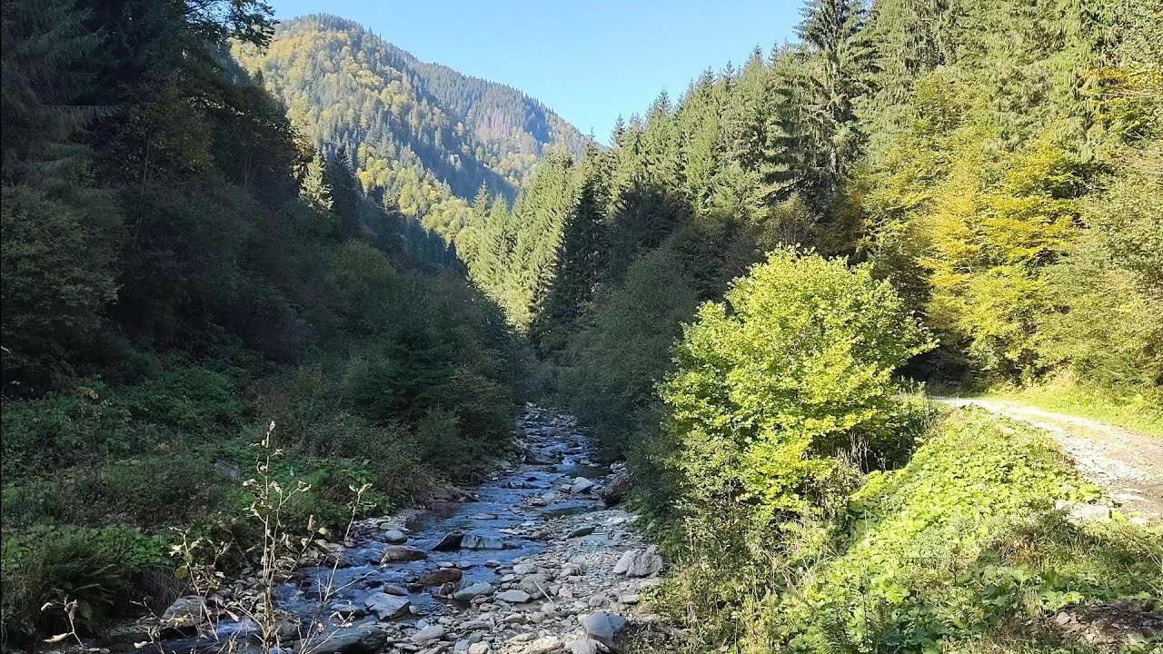 Cormaia - Jud. Bistrița Năsăud