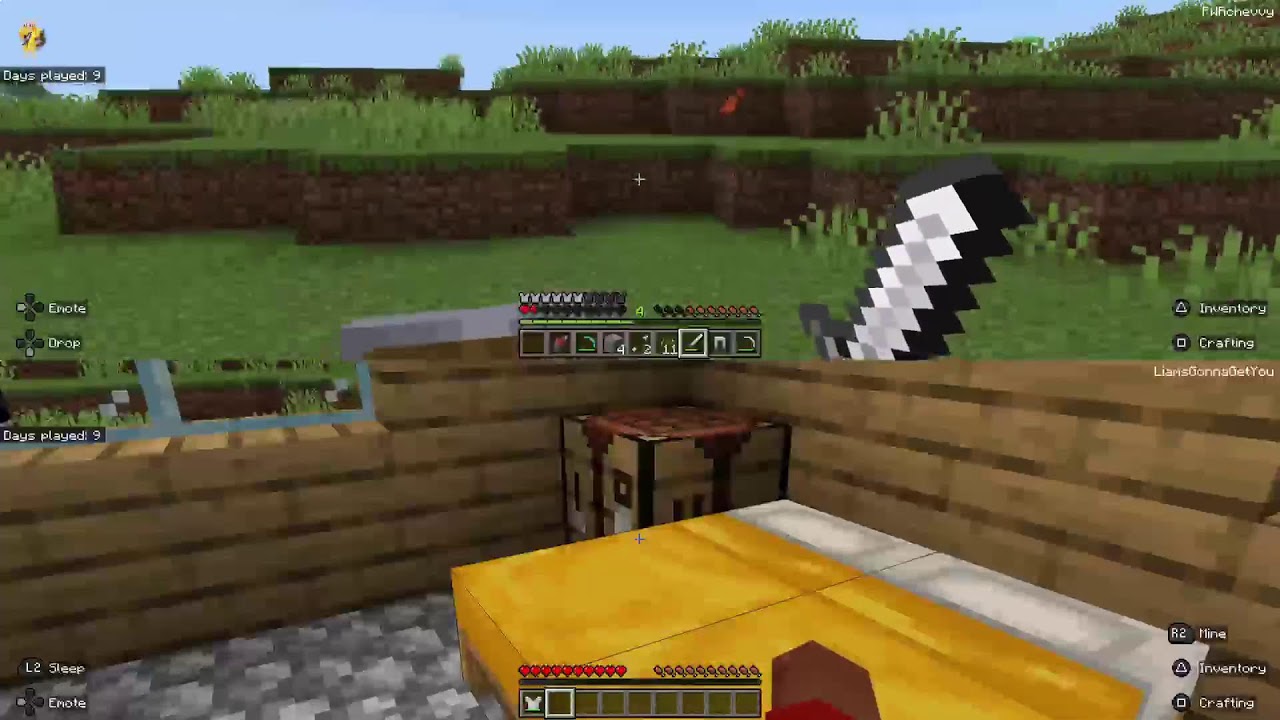 Minecraft this world is rare.